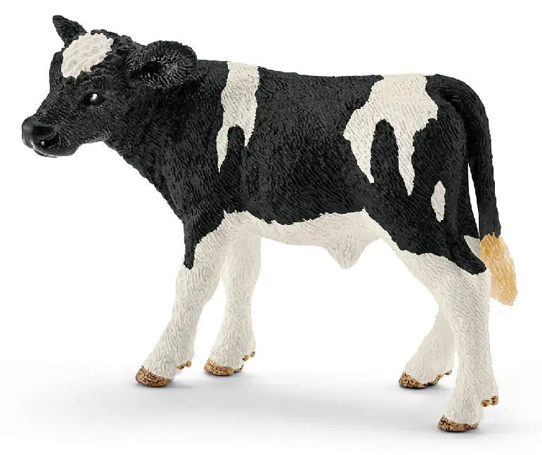 #13798 Holstein Calf 1