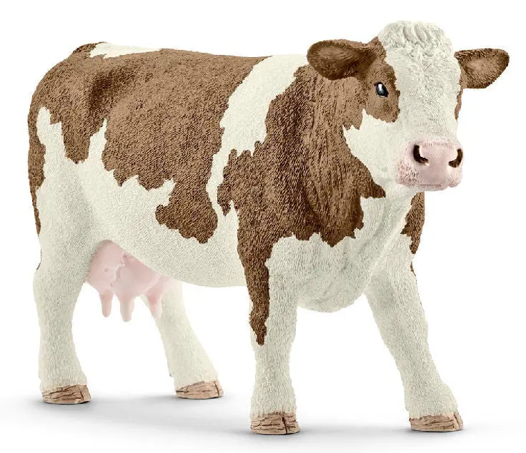 #13801 Simmental Cow 1