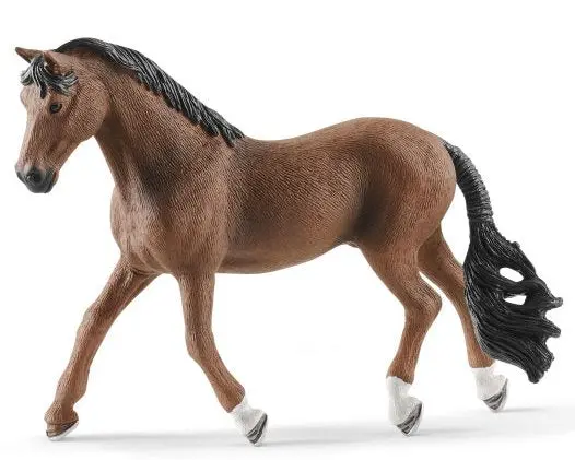 #13909S Trakehner Gelding 1