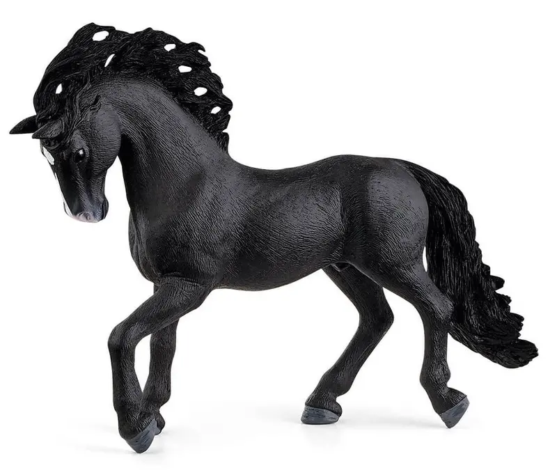 #13923S Pure Raza Espanola Stallion 1