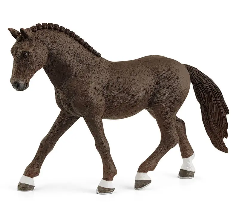 #13926S German Riding Pony Gelding 1