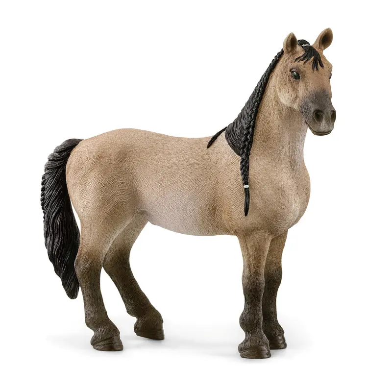 #13948S Criollo Definitivo Mare 1