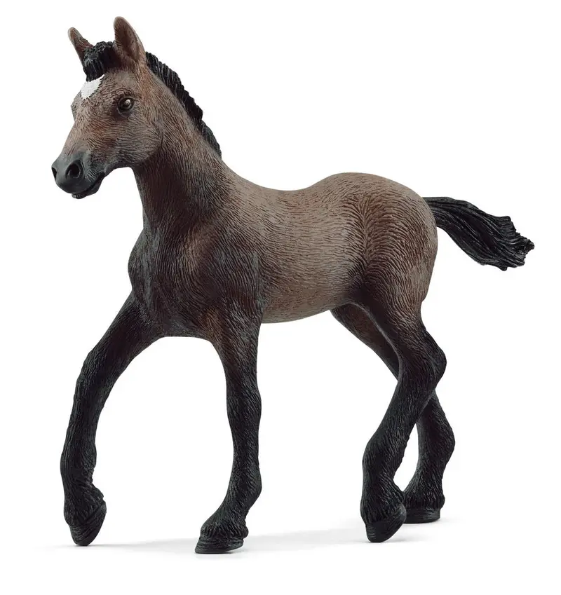 #13954S Peruvian Paso Foal 1