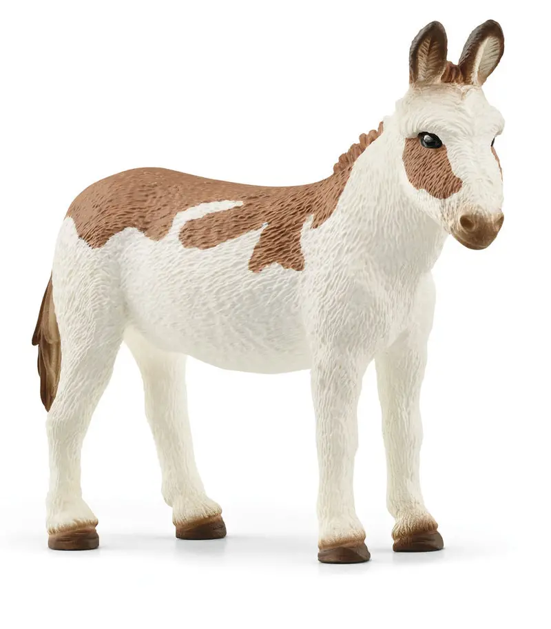 #13961S American Spotted Donkey 1