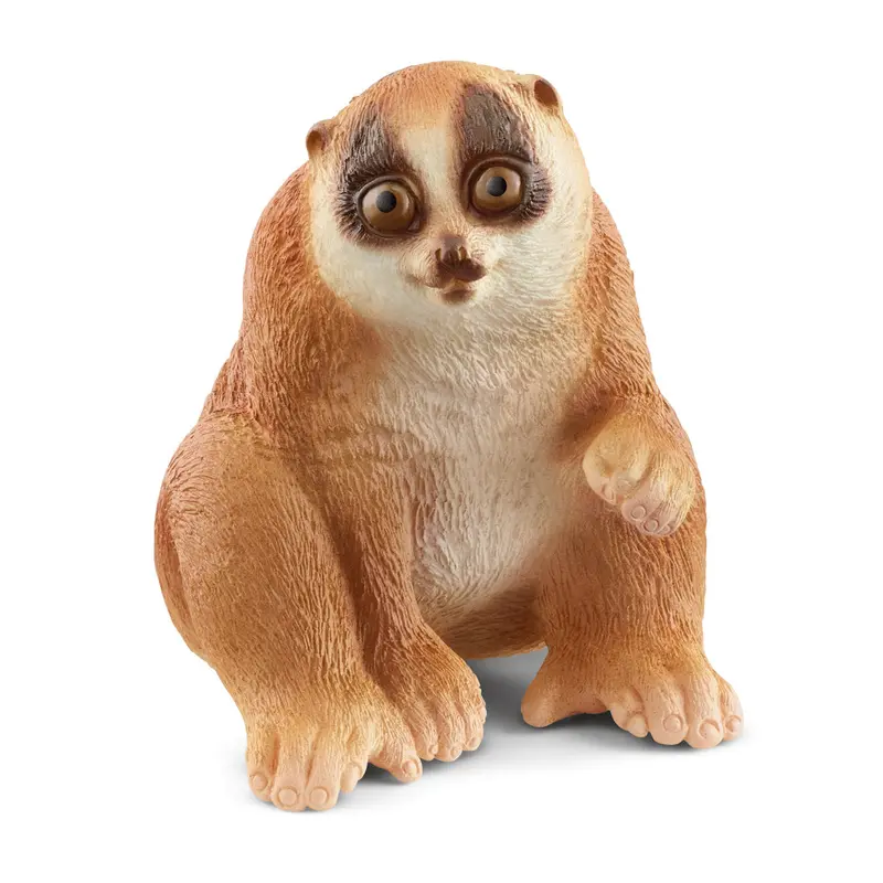 #14852S Slow Loris 1