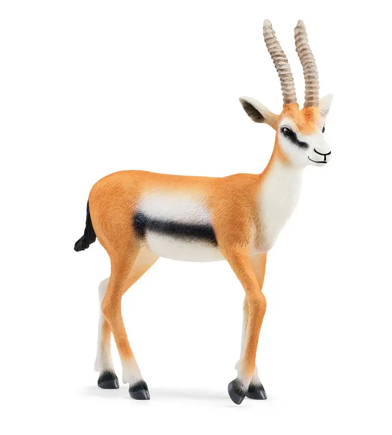 #14861S Thomson Gazelle 1