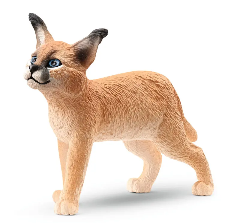#14868S Caracal Cub 1