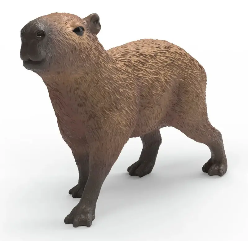 #14934S Capybara 1