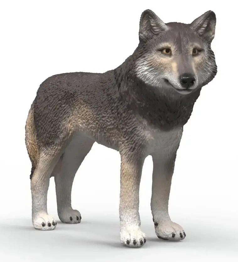 #14991S American Wolf 1