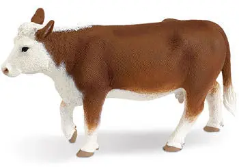 #160029 1/20 Hereford Cow 1