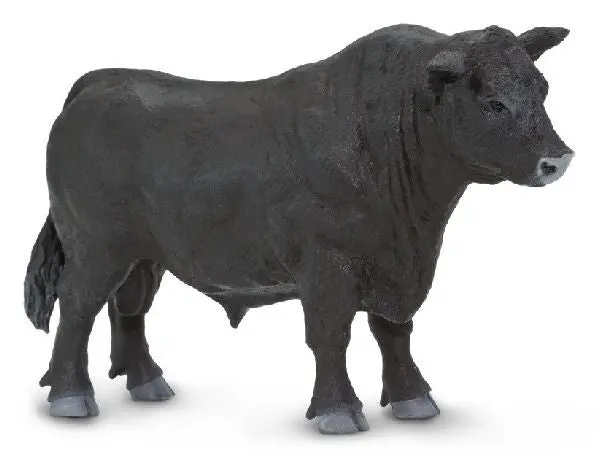 #160729 1/20 Black Angus Bull 1
