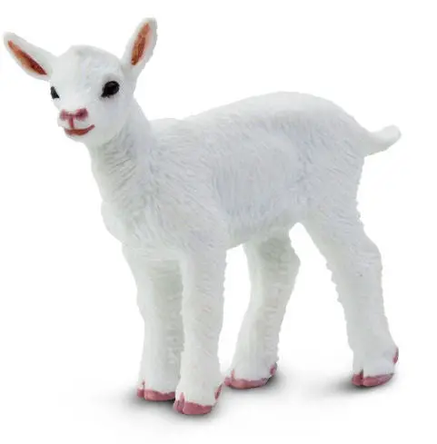 #161229 Kid Goat 1
