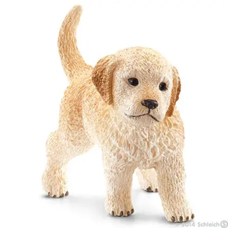 #16396 Golden Retriever Puppy 1