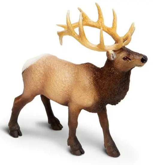 #180329 Elk Bull 1