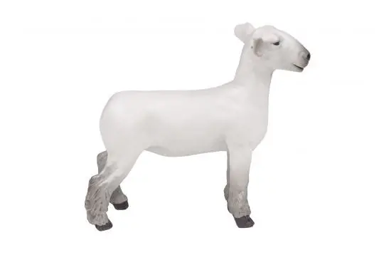 #200891 1/16 Champion Dorset Market Lamb 1