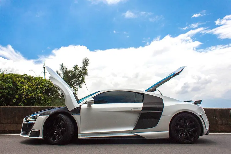 2009-2015 Audi R8 Coupe Spyder Oe Style Carbon Fiber Side Blades 1