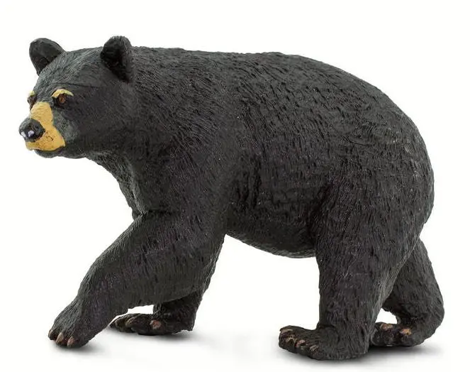 #273529 Black Bear 1