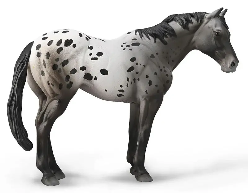 #88947 Appaloosa Blue Roan Horse 1