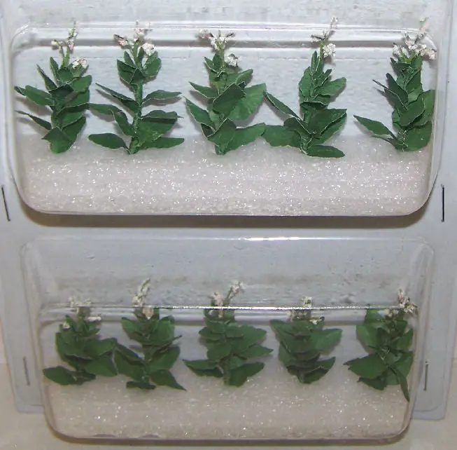 #95587 1/48 Tobacco Plants 1