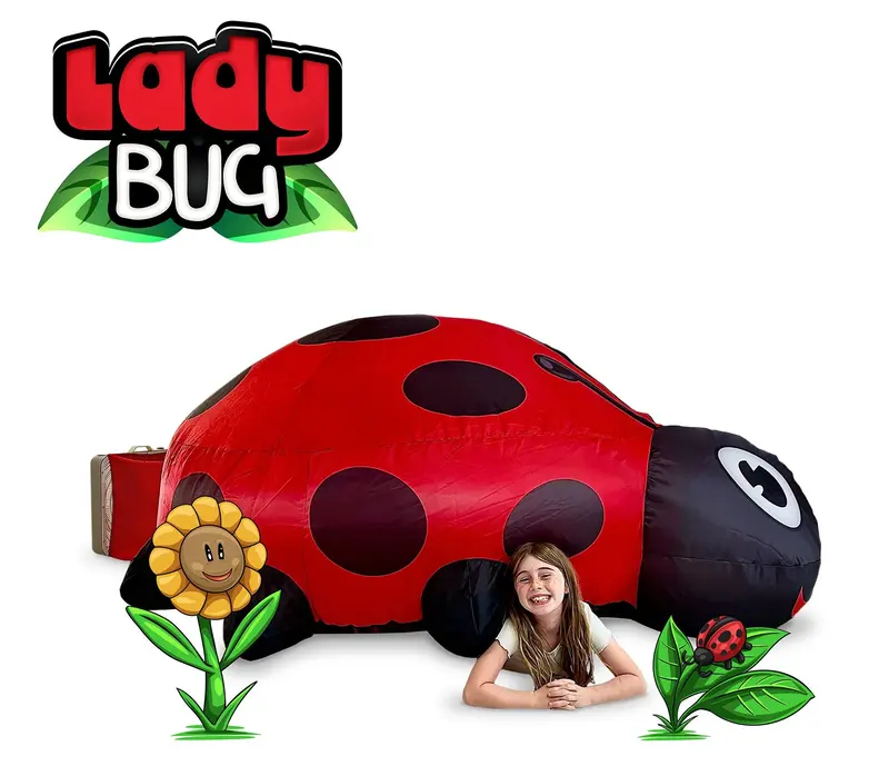 #Af-Lady Airfort Lady Bug 1