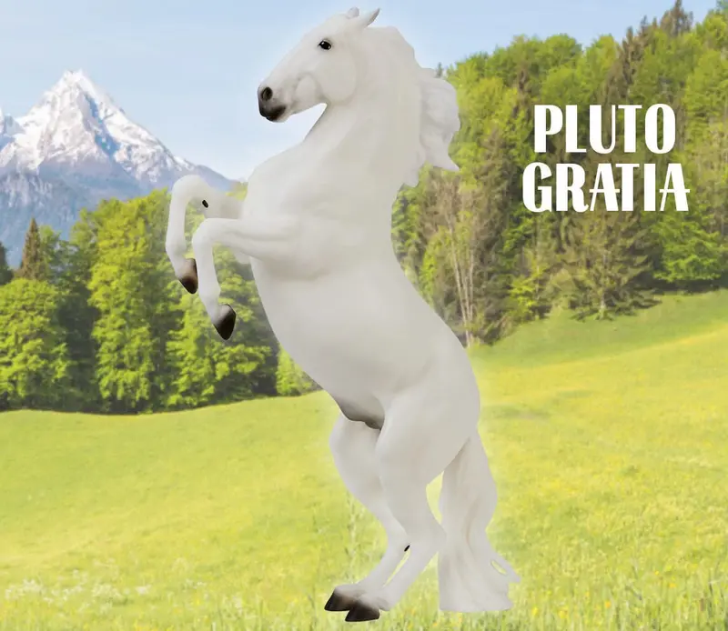 #B-Tr-10667 1/9 Pluto Gravita - Lipizzan 1