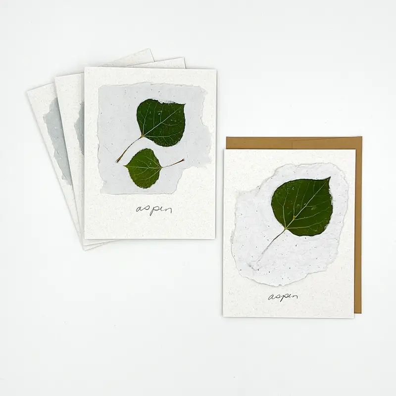 Black Eyed Suzie Designs Pack Of Four Cards And Envelopes- Aspen Leaves 1