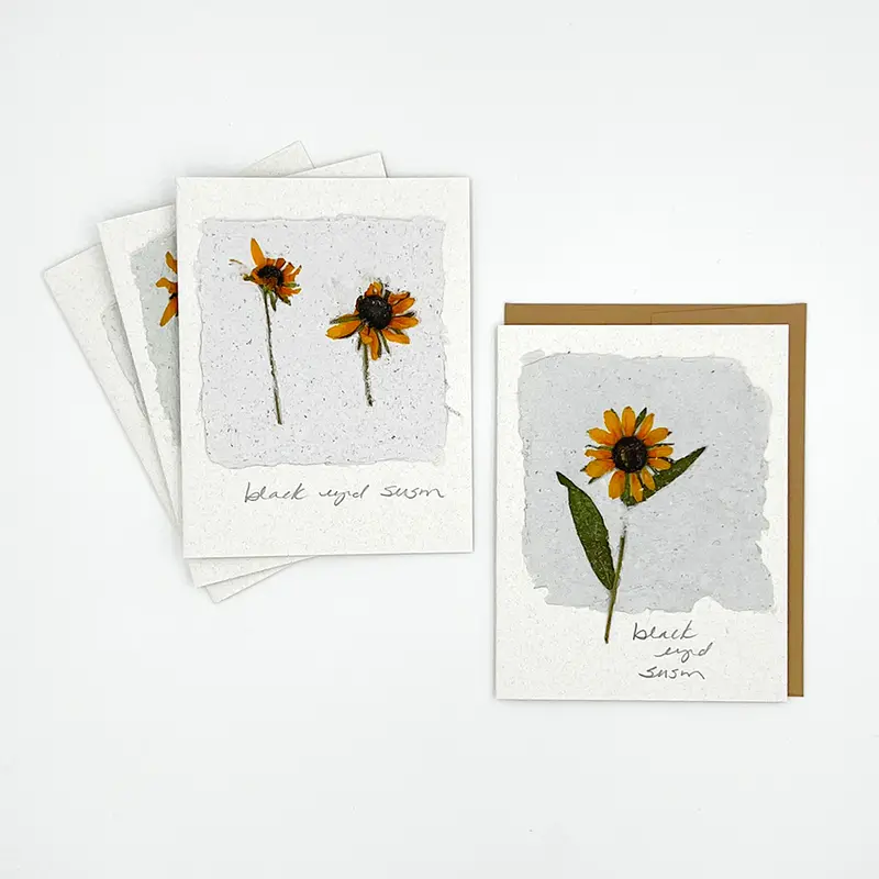 Black Eyed Suzie Designs Pack Of Four Cards And Envelopes- Black Eyed Susan Flowers 1