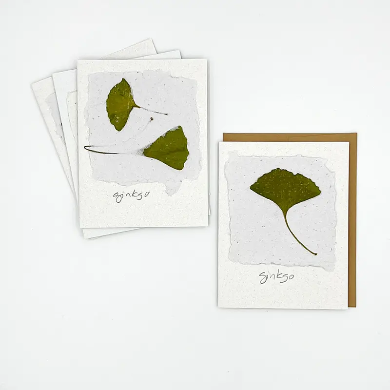 Black Eyed Suzie Designs Pack Of Four Cards And Envelopes- Ginkgo Leaves 1