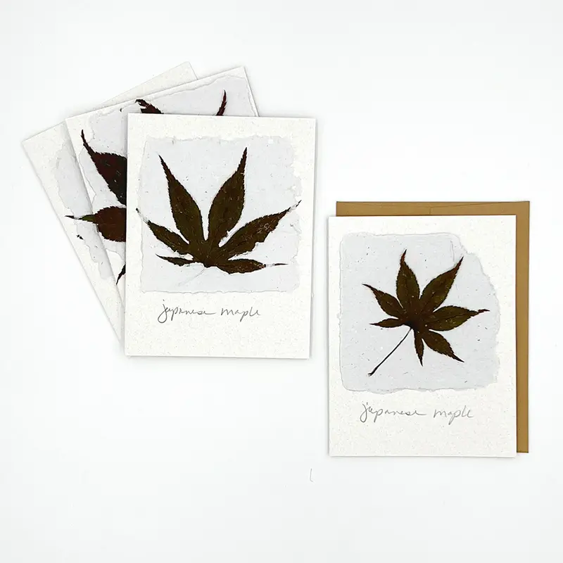 Black Eyed Suzie Designs Pack Of Four Cards And Envelopes- Japanese Maple Leaves 1