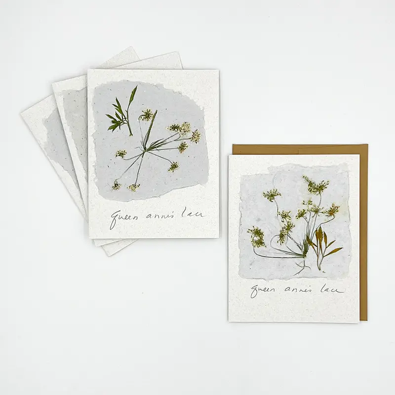 Black Eyed Suzie Designs Pack Of Four Cards And Envelopes- Queen Anne's Lace 1