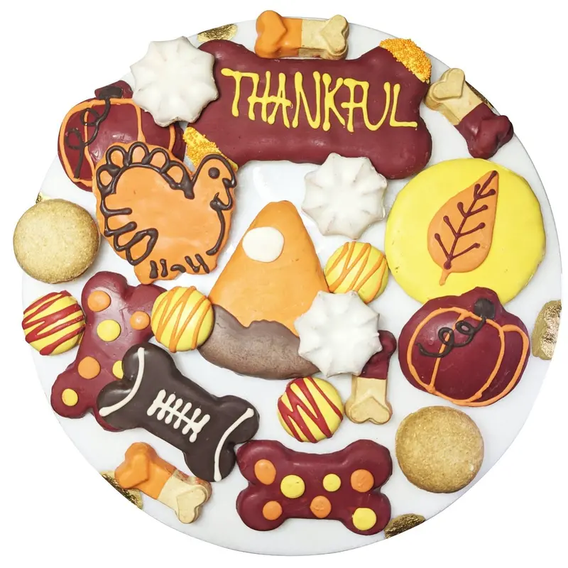 Bonne Et Filou Thankful Themed Dog Treats Gift Box 1