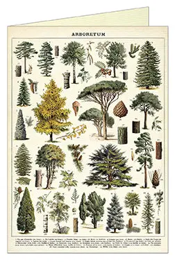 Cavallini & Co. Arboretum Single Greeting Card 1