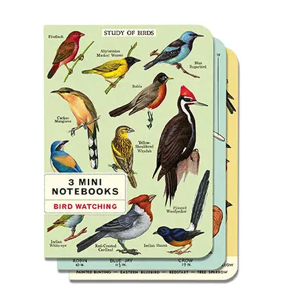 Cavallini & Co. Bird Watching Mini Notebook Set 1