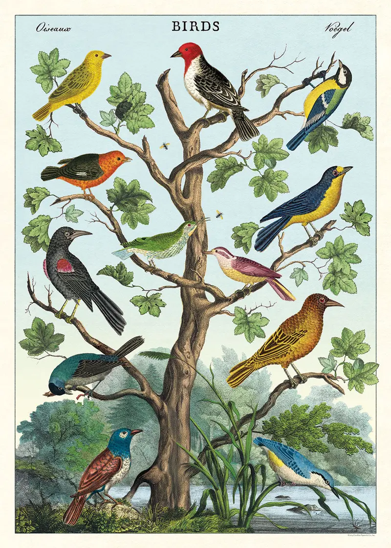Cavallini & Co. Birds Decorative Paper 1