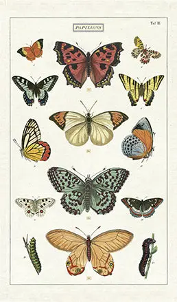 Cavallini & Co. Butterflies Cotton Tea Towel 1