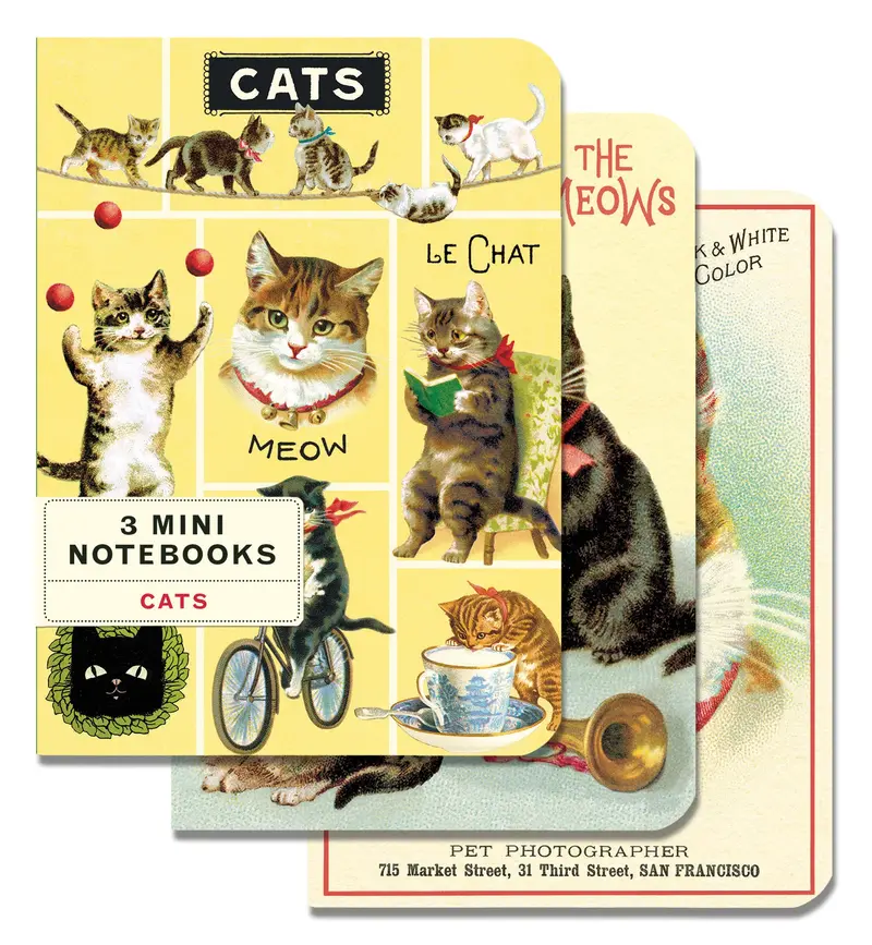 Cavallini & Co. Cats Mini Notebook Set 1