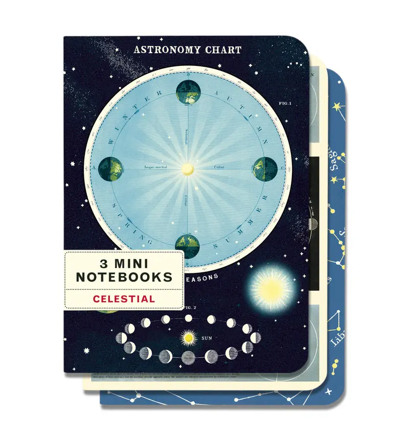 Cavallini & Co. Celestial Mini Notebook Set 1