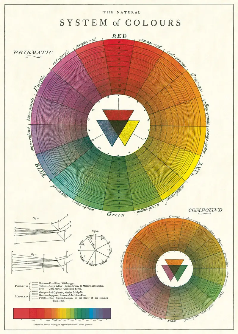 Cavallini & Co. Color Wheel Decorative Paper 1