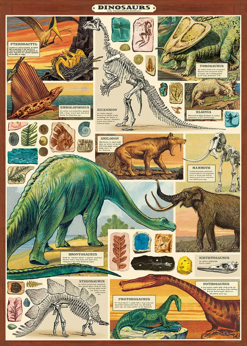 Cavallini & Co. Dinosaurs Decorative Paper 1
