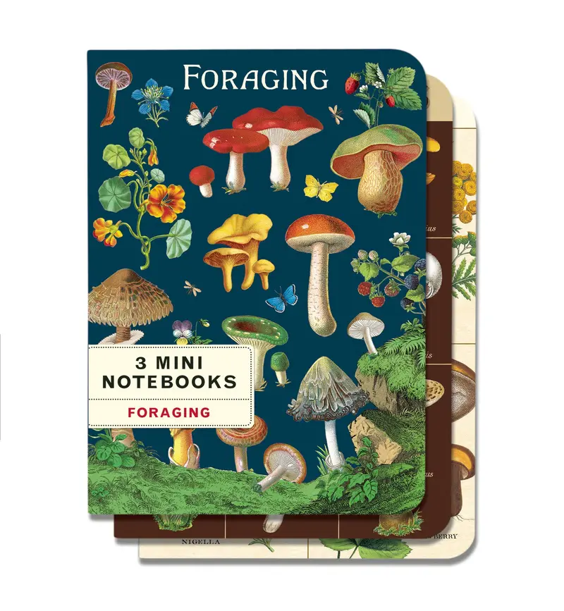 Cavallini & Co. Foraging Mini Notebook Set 1