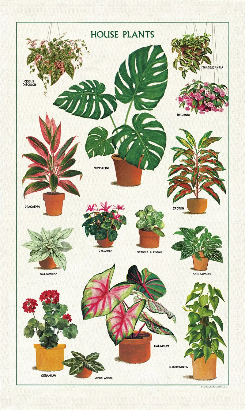Cavallini & Co. House Plants Cotton Tea Towel 1