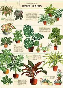 Cavallini & Co. House Plants Decorative Paper 1