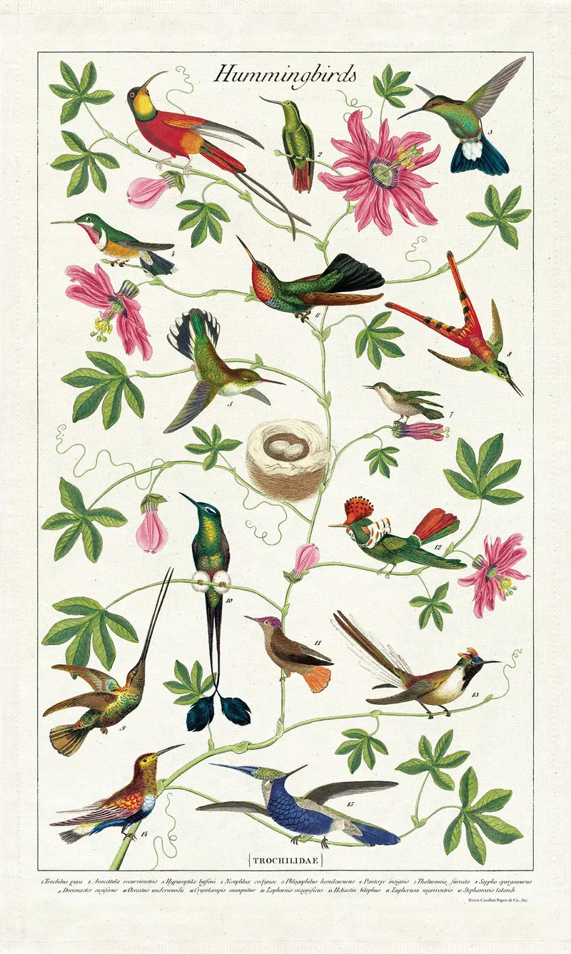 Cavallini & Co. Hummingbirds Cotton Tea Towel 1