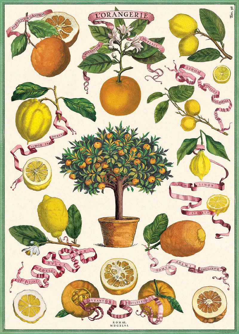 Cavallini & Co. L'orangerie Decorative Paper 1
