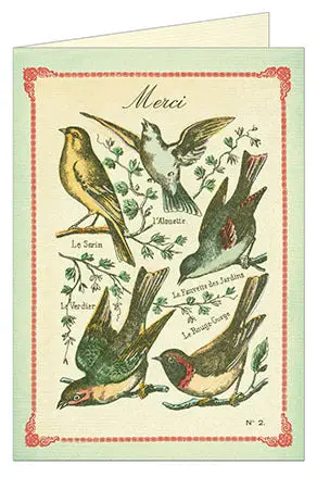 Cavallini & Co. Merci Birds Blank Single Thank You Card 1