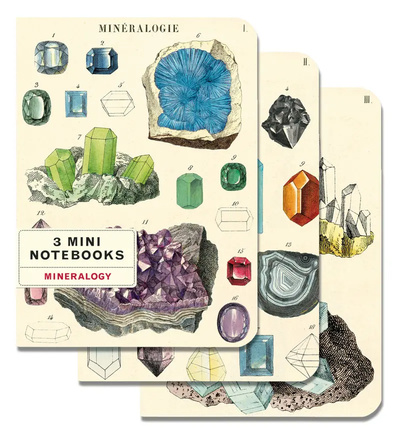 Cavallini & Co. Minerology Mini Notebook Set 1
