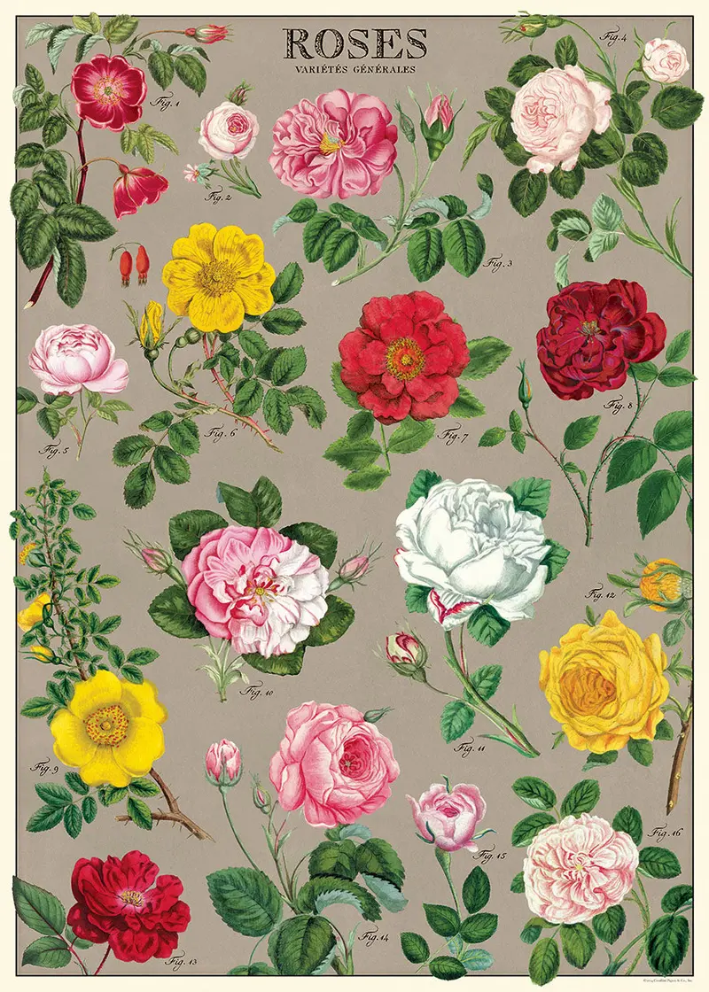 Cavallini & Co. Roses Collage Decorative Paper 1