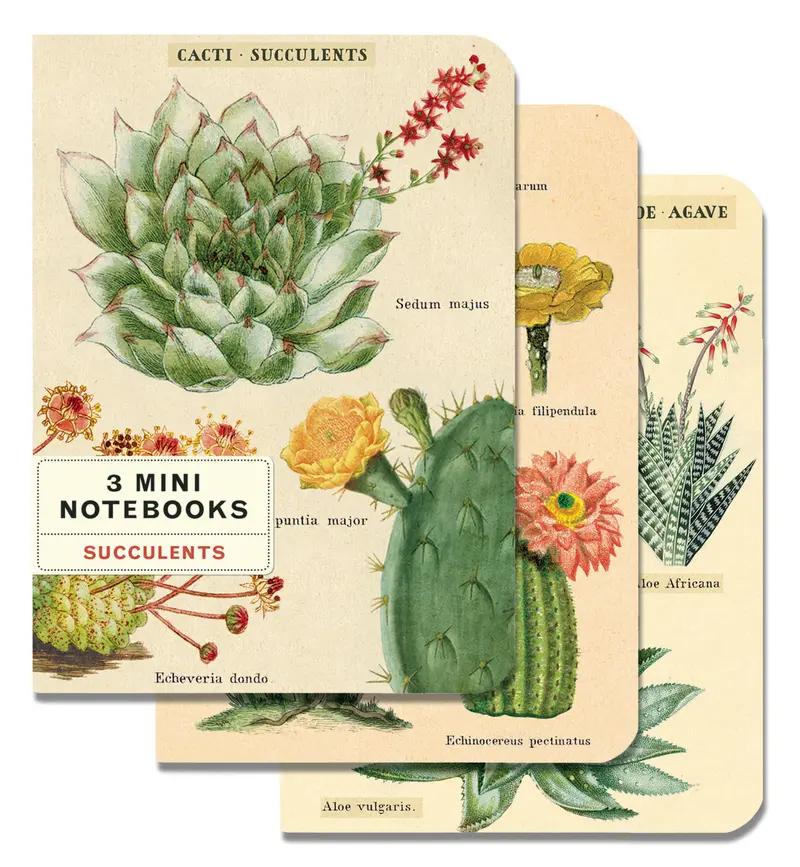 Cavallini & Co. Succulents Mini Notebook Set 1