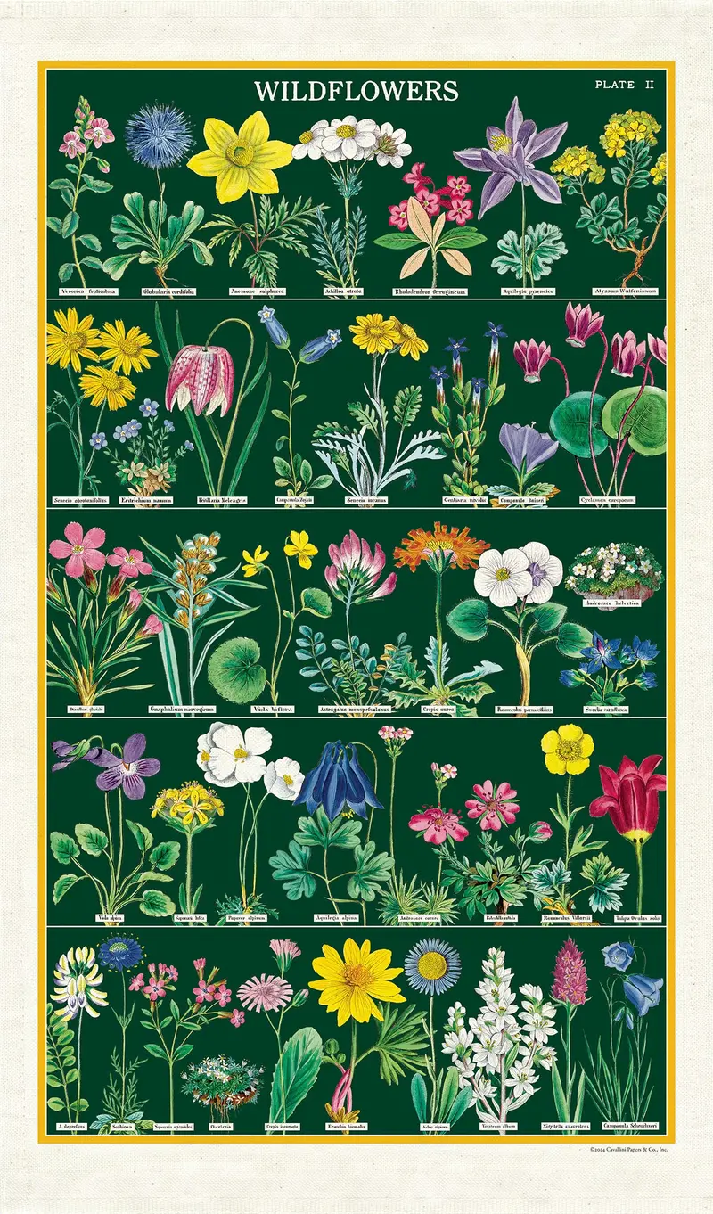 Cavallini & Co. Wildflowers Cotton Tea Towel 1