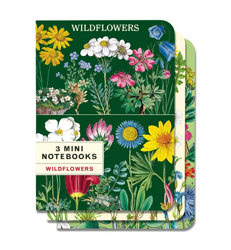Cavallini & Co. Wildflowers Mini Notebook Set 1